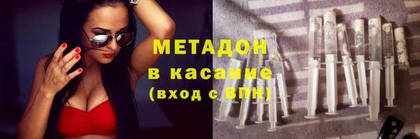 сатива Новодвинск