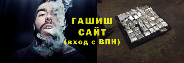сатива Новодвинск