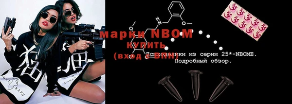крисы Новокубанск