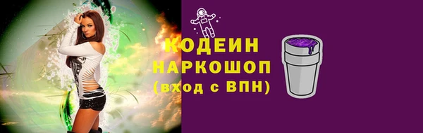 сатива Новодвинск
