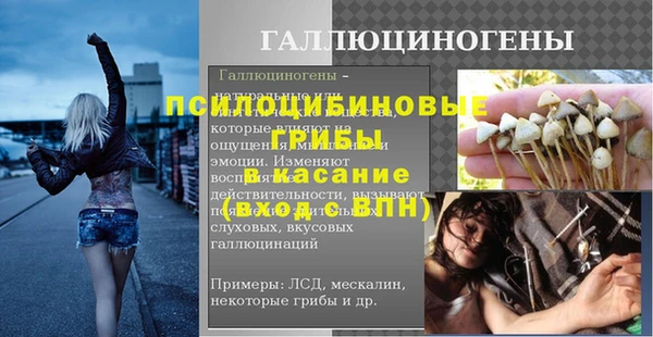 ГАЛЛЮЦИНОГЕННЫЕ ГРИБЫ Нефтекумск