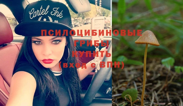 альфа пвп Новозыбков