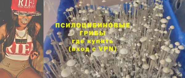 сатива Новодвинск
