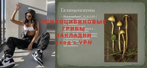 сатива Новодвинск