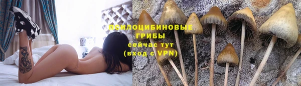 альфа пвп Новозыбков