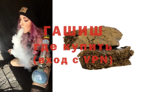 сатива Новодвинск