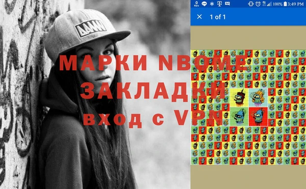 сатива Новодвинск