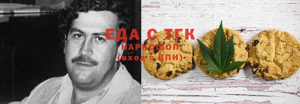 сатива Новодвинск