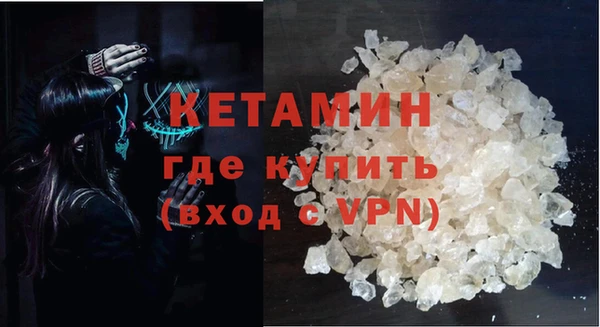 сатива Новодвинск
