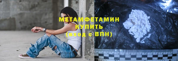 сатива Новодвинск