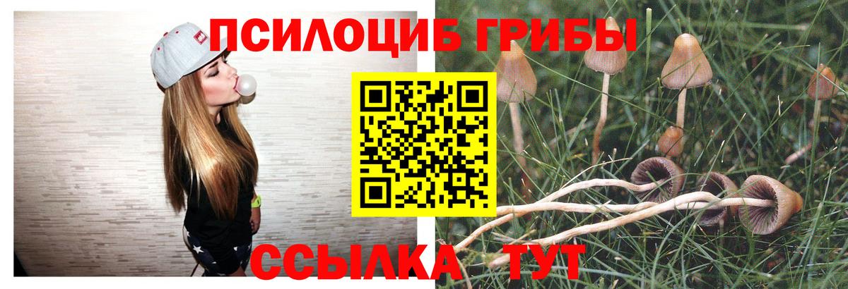 Галлюциногенные грибы Psilocybine cubensis  Вход с VPN  как найти наркотики  Псилоцибиновые грибы Psilocybine cubensis  Ржев 
