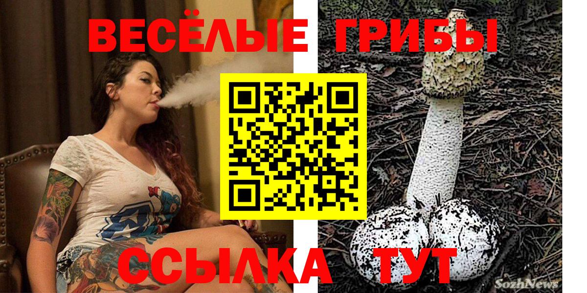 Галлюциногенные грибы мицелий  Ржев 